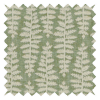 Fernia Fern