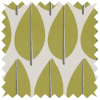 Levande Lazza Kiwi