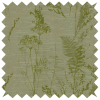 Sakura Keshiki Eucalyptus