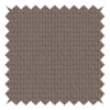 Burst Oyster Mushroom Roller Blind