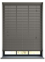 Editions African Parrot