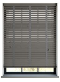 Editions African Parrot With Iron Tape