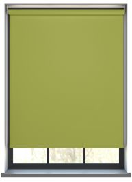 Gibson Granny Smith Roller Blind