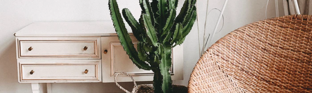 Boho Home Decor : Get The Look