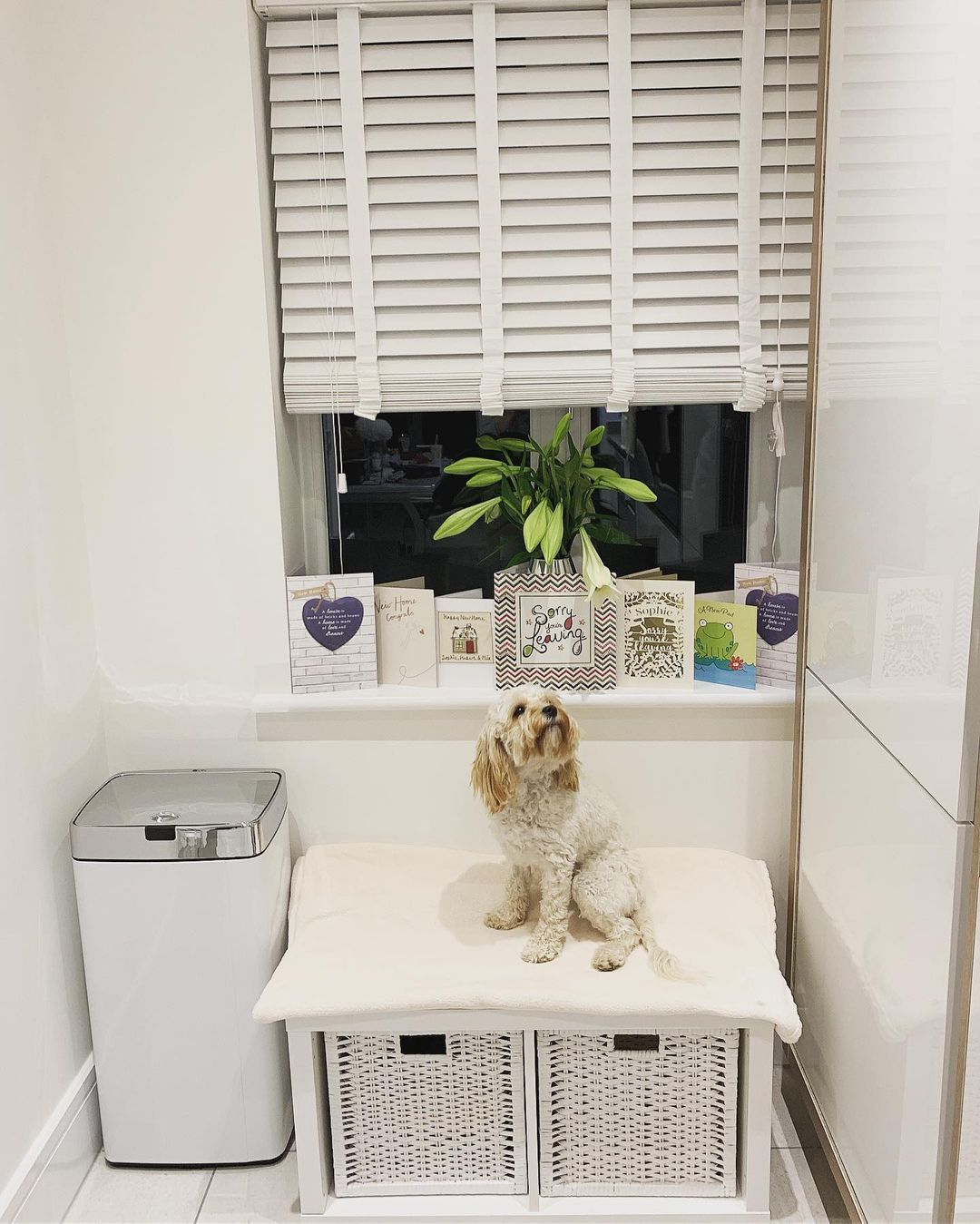 wooden blinds for home office